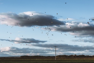 The largest aviation event in Slovenia was taking place between 16th and 23th September in Murska Sobota. More than 100 Hot Air Balloons were present in competition. 500+ more pics from this event can be found here.