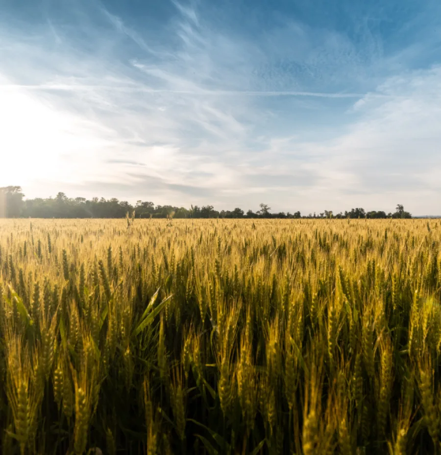 Nature photography by Mario Skraban