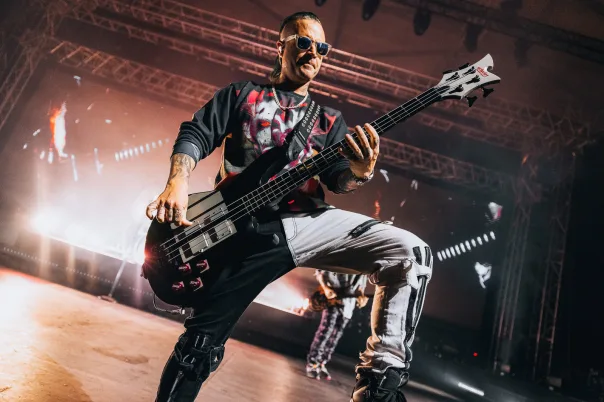 Avenged Sevenfold, photograph 11